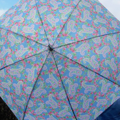 Paisley Floral Umbrella