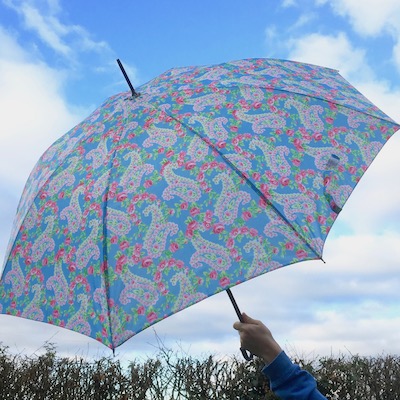 Paisley Floral Umbrella